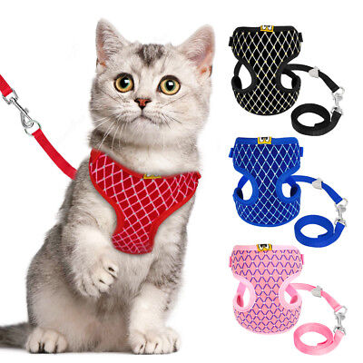 PET LEASHES